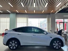 Tesla Model Y Long Range All-Wheel Drive 3D7 - ფოტო 18