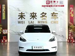 Tesla Model Y Long Range All-Wheel Drive 3D7 - ფოტო 2