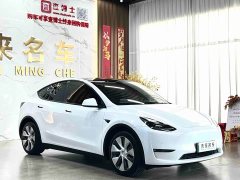 Tesla Model Y Long Range All-Wheel Drive 3D7 - ფოტო 3