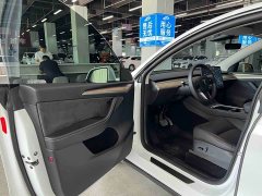 Tesla Model Y Long Range All-Wheel Drive 3D7 - ფოტო 4