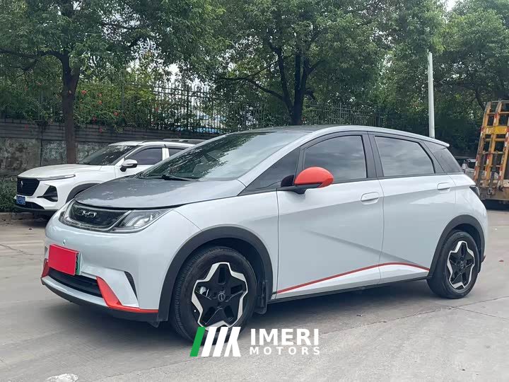BYD Dolphin 405km Freedom Edition - ავტომობილი ჩინეთიდან