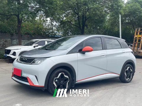 2022 BYD Dolphin 405km Freedom Edition - ავტომობილი ჩინეთიდან