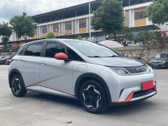 BYD Dolphin 405km Freedom Edition - ფოტო 3