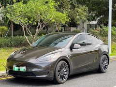 Tesla Model Y Performance All-Wheel Drive - ფოტო 1