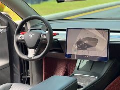 Tesla Model Y Performance All-Wheel Drive - ფოტო 13