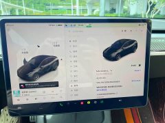Tesla Model Y Performance All-Wheel Drive - ფოტო 16