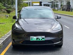 Tesla Model Y Performance All-Wheel Drive - ფოტო 2