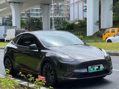 Tesla Model Y Performance All-Wheel Drive - ფოტო 3
