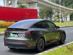 Tesla Model Y Performance All-Wheel Drive - ფოტო 4
