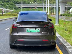 Tesla Model Y Performance All-Wheel Drive - ფოტო 5