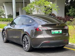 Tesla Model Y Performance All-Wheel Drive - ფოტო 6