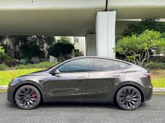 Tesla Model Y Performance All-Wheel Drive - ფოტო 7