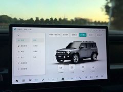 Jetour Jietu Traveler 2023 2.0T AWD Conquest PRO - ფოტო 20