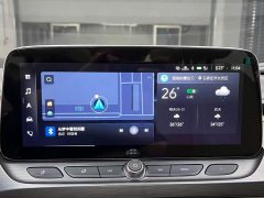 Buick GL8 Land Executive Cabin 652T Luxury - ფოტო 8