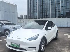 Tesla Model Y Rear-Wheel Drive - ფოტო 1