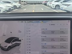Tesla Model Y Rear-Wheel Drive - ფოტო 6