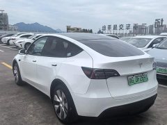 Tesla Model Y Rear-Wheel Drive - ფოტო 7