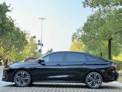 Chery Arrizo 8 High-Performance Edition 2.0T DCT - ფოტო 4