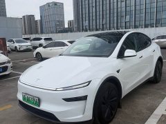 Tesla Model Y Rear-Wheel Drive Launch Edition - ფოტო 1
