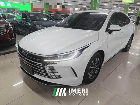 2024 BYD Destroyer 05 Glory Edition DM-i 55KM Luxury