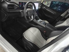 BYD Destroyer 05 Glory Edition DM-i 55KM Luxury - ფოტო 12