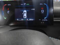 BYD Destroyer 05 Glory Edition DM-i 55KM Luxury - ფოტო 14