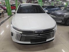 BYD Destroyer 05 Glory Edition DM-i 55KM Luxury - ფოტო 2