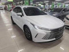 BYD Destroyer 05 Glory Edition DM-i 55KM Luxury - ფოტო 3