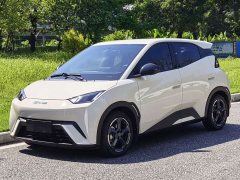 BYD Seagull Freedom Edition - ფოტო 1