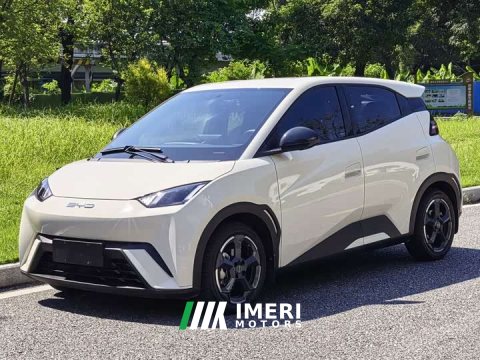 2023 BYD Seagull Freedom Edition - ავტომობილი ჩინეთიდან