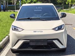 BYD Seagull Freedom Edition - ფოტო 2