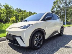 BYD Seagull Freedom Edition - ფოტო 8