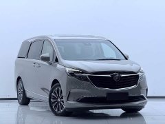 Buick GL8 ES Land Respect 653T Premier - ფოტო 3