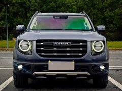 Great Wall Dachshund 2.0T DCT Four-Wheel Drive Chinese Rural Dog Edition - ფოტო 2
