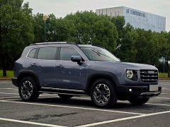 Great Wall Dachshund 2.0T DCT Four-Wheel Drive Chinese Rural Dog Edition - ფოტო 3
