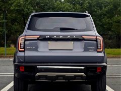 Great Wall Dachshund 2.0T DCT Four-Wheel Drive Chinese Rural Dog Edition - ფოტო 5