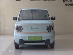Geely Panda Mini 200km Dragon Ascend Edition - ფოტო 2