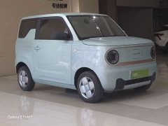 Geely Panda Mini 200km Dragon Ascend Edition - ფოტო 3