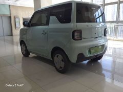 Geely Panda Mini 200km Dragon Ascend Edition - ფოტო 6