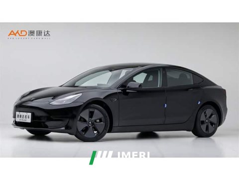 2022 Tesla Model 3 Rear-Wheel Drive - ავტომობილი ჩინეთიდან