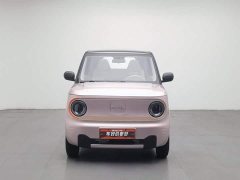 Geely Panda Mini 200km Agile Panda - ფოტო 3