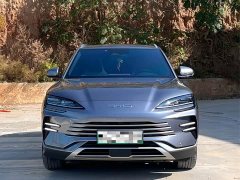 BYD Song Plus New Energy DM-i 110km Flagship Honors Edition - ფოტო 2