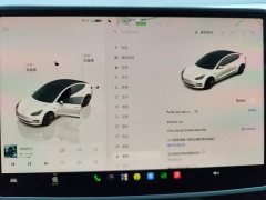 Tesla Model 3 2022 Rear-Wheel Drive - ფოტო 14