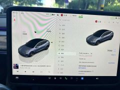 Tesla Model 3 2022 Performance All-Wheel Drive - ფოტო 9