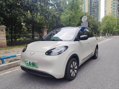Wuling Binguo 333km Joy Edition - ფოტო 1