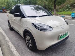 Wuling Binguo 333km Joy Edition - ფოტო 3