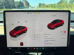 Tesla Model Y Rear-Wheel Drive - ფოტო 16
