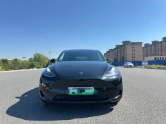 Tesla Model Y Rear-Wheel Drive - ფოტო 2