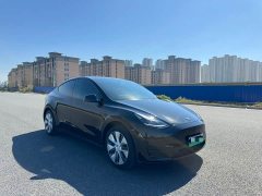 Tesla Model Y Rear-Wheel Drive - ფოტო 3