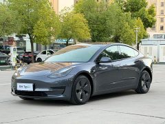 Tesla Model 3 Standard Range RWD Upgrade - ფოტო 1
